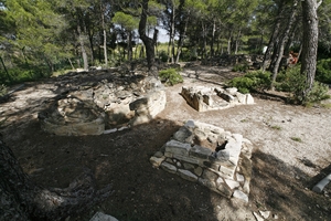 Necròpolis del Coll del Moro (8)