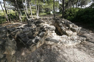 Necròpolis del Coll del Moro (9)