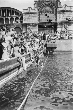 Arribada de nedadors de la cursa de natació IX Travessa al Port de Barcelona
