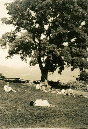 Lectura sota un arbre als terrenys de la masia Can Surell