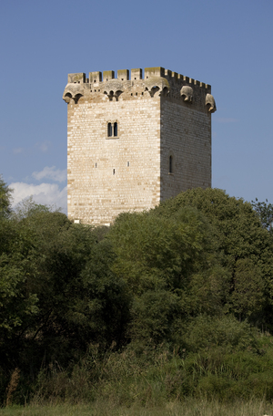 Torre de la Carrova (1)