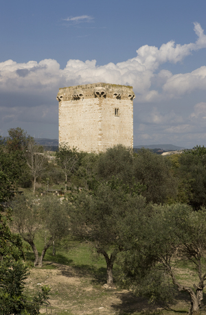 Torre de la Carrova (2)
