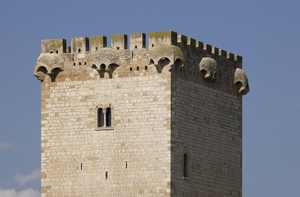 Torre de la Carrova (3)