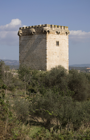 Torre de la Carrova (7)