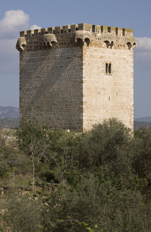 Torre de la Carrova (8)