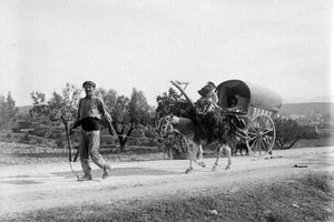 Família amb una mula i una tartana per un camí rural de València