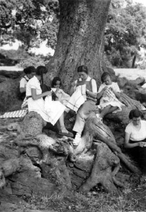 Alumnes de l'Institut-Escola cosint assegudes sota l'alzina del turó de Can Surell