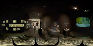 Museu d'Arqueologia de Barcelona 6 [Sala]