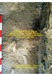 Memòria de l'excavació arqueològica al Molí de Salt (Vimbodí i Poblet, Conca de Barberà)