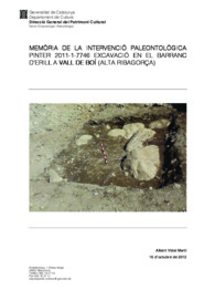 Memòria de la intervenció paleontològica pinter 2011- 1- 7746 Excavació en el barranc D'erill a La Vall de Boí (Alta Ribagorça)