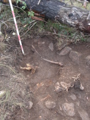 Zona del Serrat de la Voltora - La Febró - Excavació de restes humanes