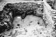 Memòria d'excavació del Turó de Ca N'Olivé. Cerdanyola del Vallès (Vallès Occidental): Campanya del 1991