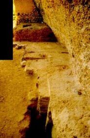 Memòria d'excavació de l'estrat 7 (Campanyes 1992-93) Abric del Filador (Margalef de Montsant, Priorat, Tarragona)