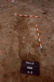 Memòria de la intervenció arqueològica a Talló (Bellver de Cerdanya)