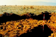 Memòria de la prospecció arqueològica realitzada a la Corona (Bolvir, La Cerdanya)