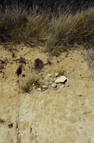 memòria de l'excavació al jaciment del coster Mata-Rucs (Castellet i la Gornal, Alt Penedès)