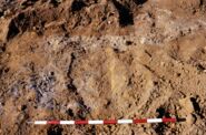 Memòria de la intervenció arqueològica de salvament a la Vil.la Romana de La Salut-Mas Lluhí (Sant Feliu de Llobregat, Baix Llobregat) Novembre de 1995