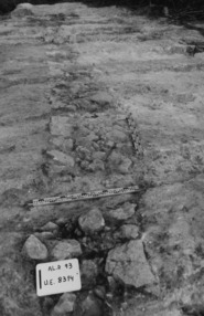Memòria de la campanya d'excavacions de 1993 al poblat ibèric de Les Toixoneres o Alorda Park (Calafell, Baix Penedès)