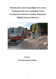 Memòria del control arqueològic de les obres d'adequació del carrer principal i l'àrea d'esbarjo de la Sala de Comalats, Passanant i Belltall