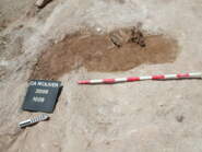 Memòria de la campanya d'excavacions arqueològiques al poblat ibèric de Ca n'Oliver