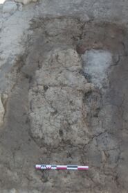 Memòria de les intervencions arqueològiques durant l'any 2012 al jaciment dels Vilars d'Arbeca