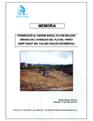 Memòria de la prospecció al centre Borja. Pla de millora urbana de l'Avinguda del Pla del Vinyet
