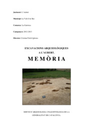 Excavacions arqueològiques a l'Aubet. Memòria