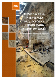 Memòria de la intervenció arqueològica programada Abric Romaní
