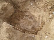 Memòria de la intervenció arqueològica a Mas Guàrdies