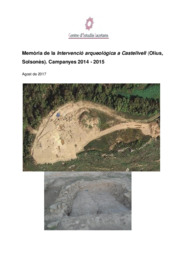 Memòria de la intervenció arqueològica a Castellvell (Olius, Solsonès). campanya 2014-2015)
