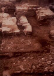 Memòria de les excavacions arqueològiques al jaciment de Santa Margarida (Martorell)