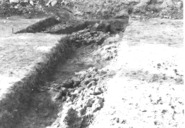 Memòria preliminar de l'excavació d'urgencia al Roser (Mujal-Toyca) Setembre-Octubre 1988
