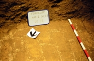 Memòria d'excavació Fonollar 1996 (Torre de la Vila)