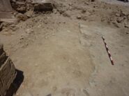 Memòria d'excavació 1992-1995 Plansallosa (Tortellà, La Garrotxa)