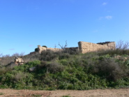 Memòria de la intervenció arqueològica. Ampliació Xarxa de reg del Segarra-Garrigues al municipi d'Alcanó