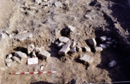 Memòria de les excavacions arqueològiques d'urgència realitzades a l'abocador de la vil.la romana de Paterna, Fonolleres