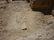 Informe memòria de les prospeccions arqueològiques realitzades a la comarca del Segrià durant l'any 1996