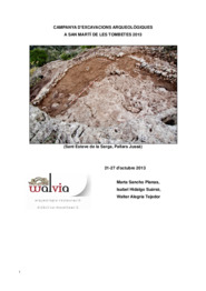 Memòria de la campanya d'excavacions arqueològiques a Sant Martí de les Tombetes de Sant Esteve de la Sarga