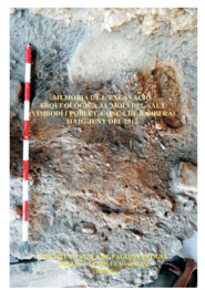 Memòria de l'excavació arqueològica al Molí del Salt