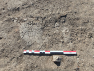 Memòria dels treballs d'excavació desenvolupats al jaciment de Rabassats durant les campanyes d'excavacions de 2014 a 2017