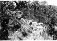 Memòria de la intervenció arqueològica al jaciment de Cantacorbs