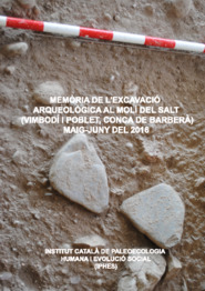 Memòria de l'excavació arqueològica al Molí de Salt