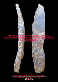 Memòria de l'excavació arqueològica al Molí del Salt (Vimbodí de Poblet, Conca de Barberà) maig-juny del 2017