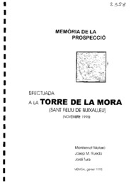 Torre de la Mora: Prospecció