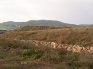 Memòria de la prospecció arqueològica dels terrenys afectats per la construcció d'un camp de captació solar fotovoltaixa del terme municipal d'Alcover