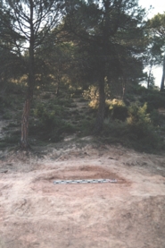 Memòria dels treballs d'excavació realitzats el 1995 al jaciment del "Coll Roig"