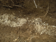 Memòria. Delimitació arqueològica del jaciment de Cadaloques (Vandellòs i l'Hospitalet de l'Infant, Baix Camp)