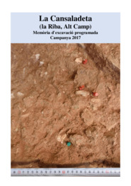 La Cansaladeta (la Riba, Alt Camp) Memòria d'excavació programada Campanya 2017