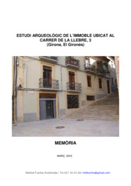 Estudi arqueològic de l'immoble ubicat al carrer de la Llebre, 3. Memòria