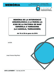Memòria de la intervenció arqueològica a la parcel·la K300 de la factoria de BASF española a Tarragona (La Canonja, Tarragonès)